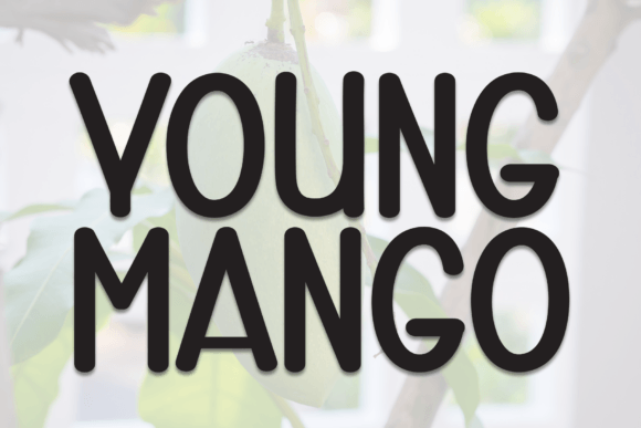 Young Mango Font: Bold Display Type for Editorial Design